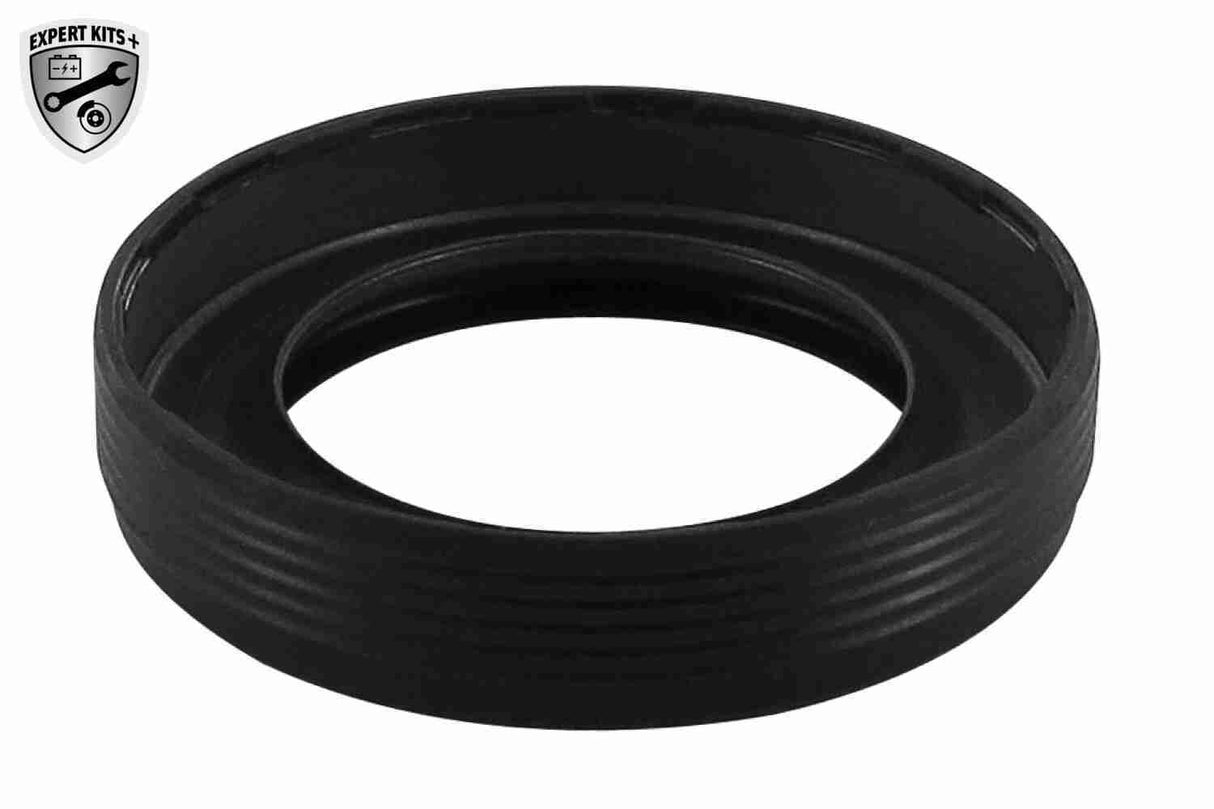 Timing Chain Kit - V10-10006