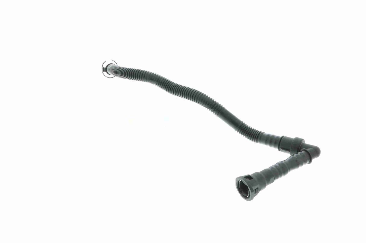 Hose, crankcase ventilation - V20-1800