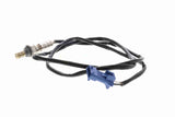 Oxygen Sensor - V22-76-0012