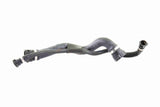 Radiator Hose - V20-1694