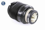 Air Suspension Strut - V30-50-0005