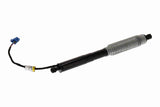 Electric Motor, tailgate - V20-55-0029