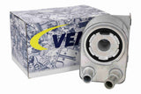 Oil Cooler, engine oil - V33-60-0018
