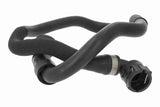 Radiator Hose - V20-3879