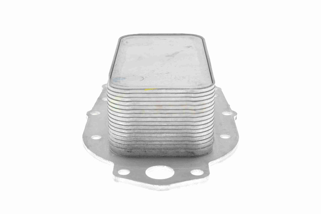 Oil Cooler, engine oil - V48-60-0020