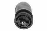 Air Suspension Strut - V20-50-0021-1