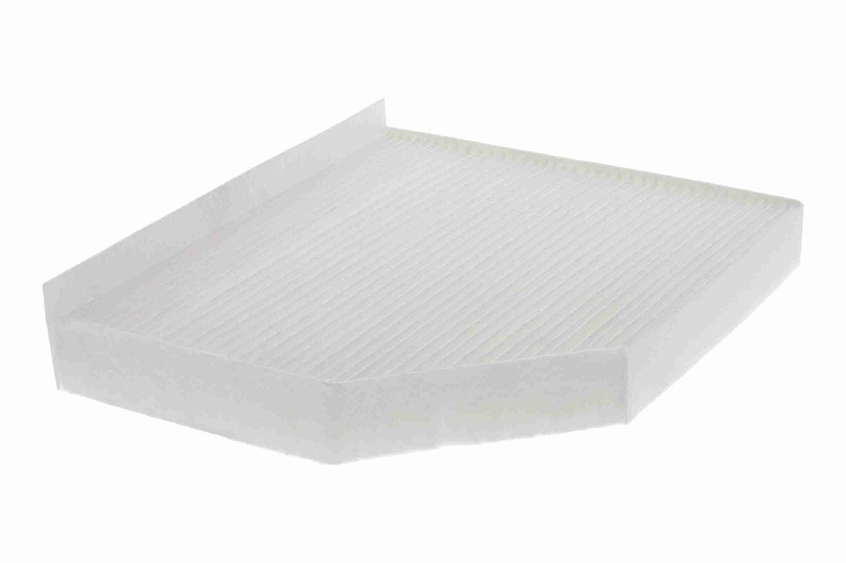 Filter, cabin air - V10-30-1004