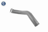 Charge Air Hose - V10-3777