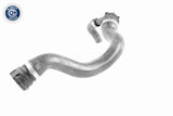 Radiator Hose - V20-2586