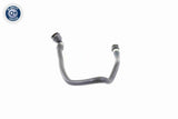 Radiator Hose - V20-1343