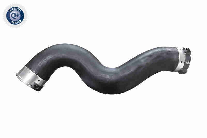 Charge Air Hose - V20-4369