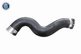 Charge Air Hose - V20-4369