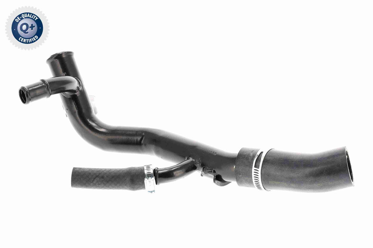 Radiator Hose - V25-2017