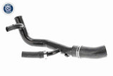 Radiator Hose - V25-2017