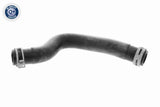 Radiator Hose - V58-0311
