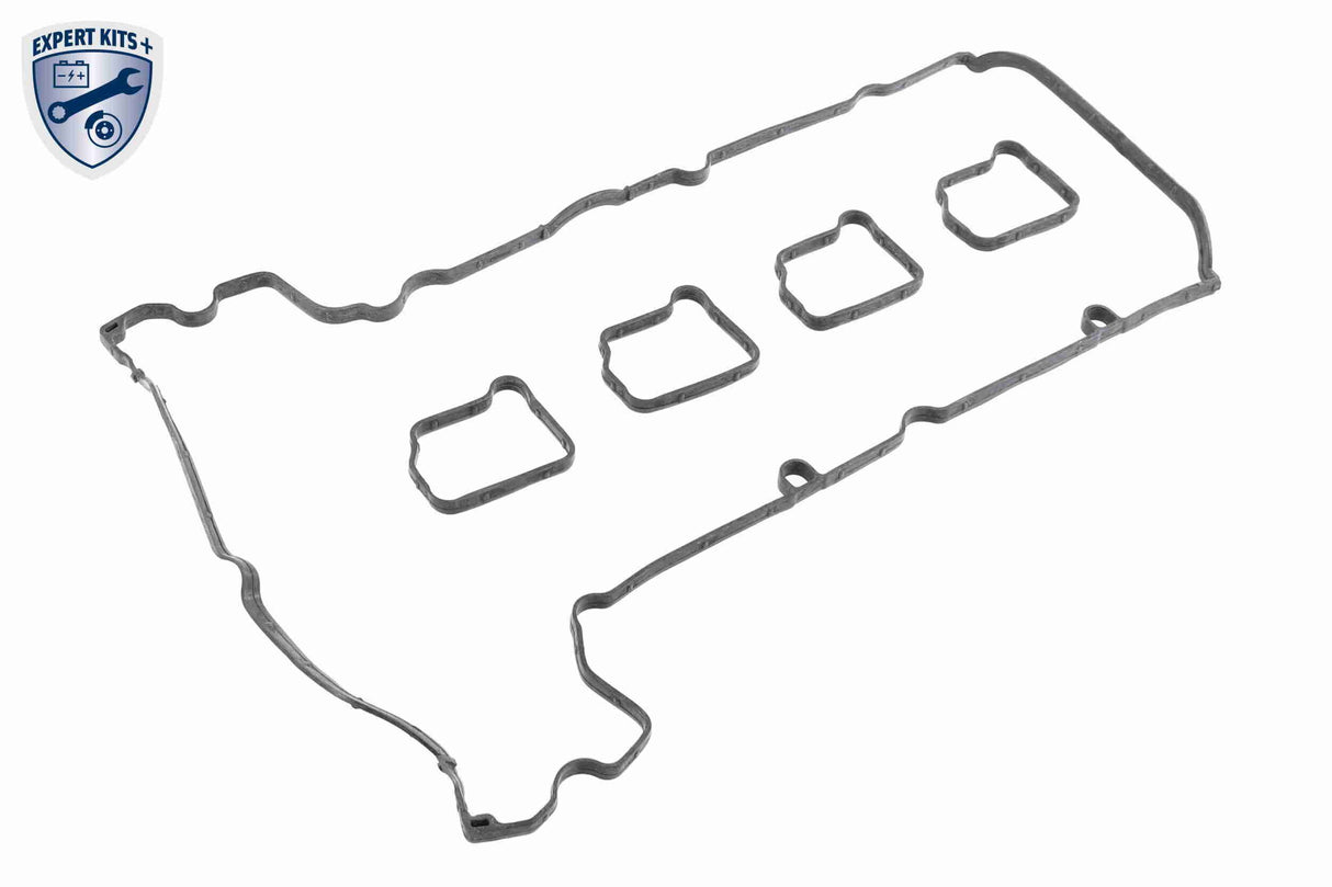 Cylinder Head Cover - V30-3632