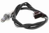 Oxygen Sensor - V10-76-0110