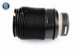 Air Suspension Strut - V30-50-0005