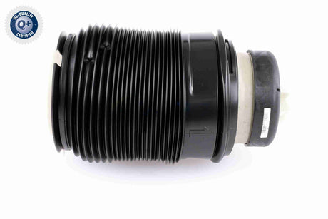 Air Suspension Strut - V30-50-0005