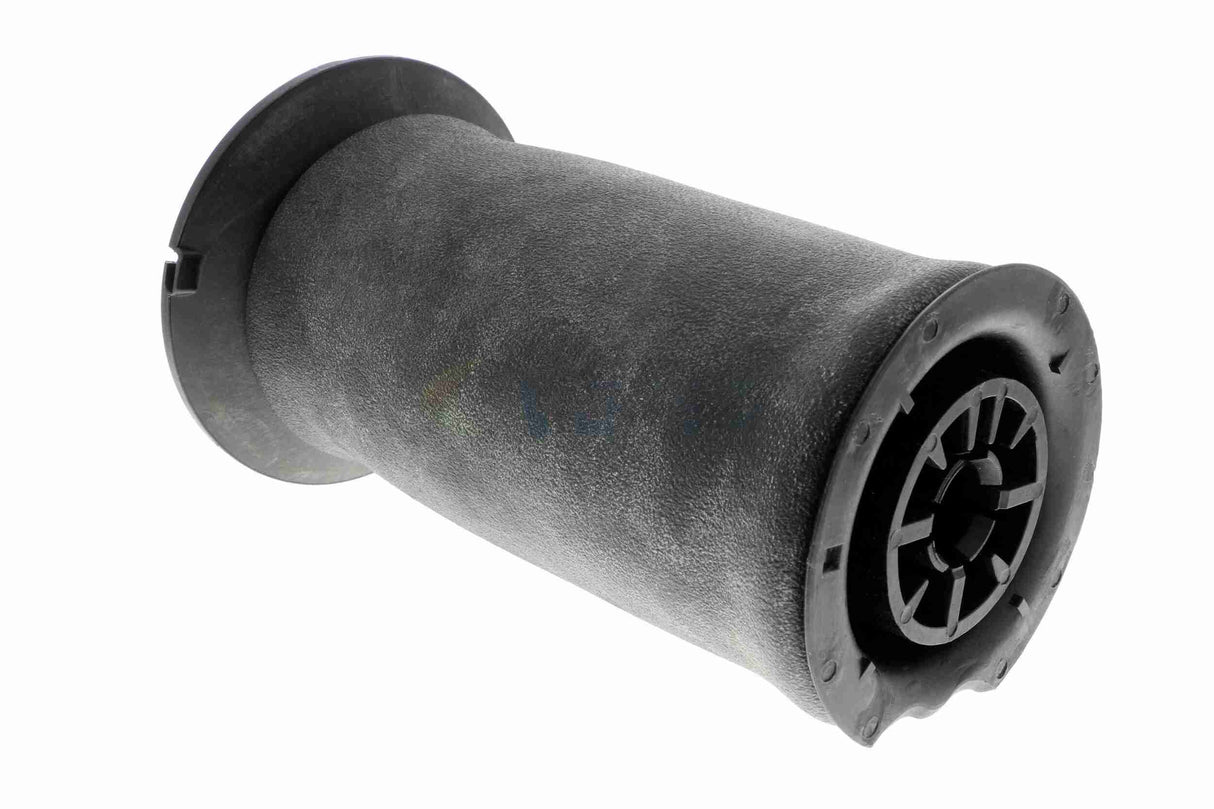 Air Suspension Strut - V20-50-0022-1