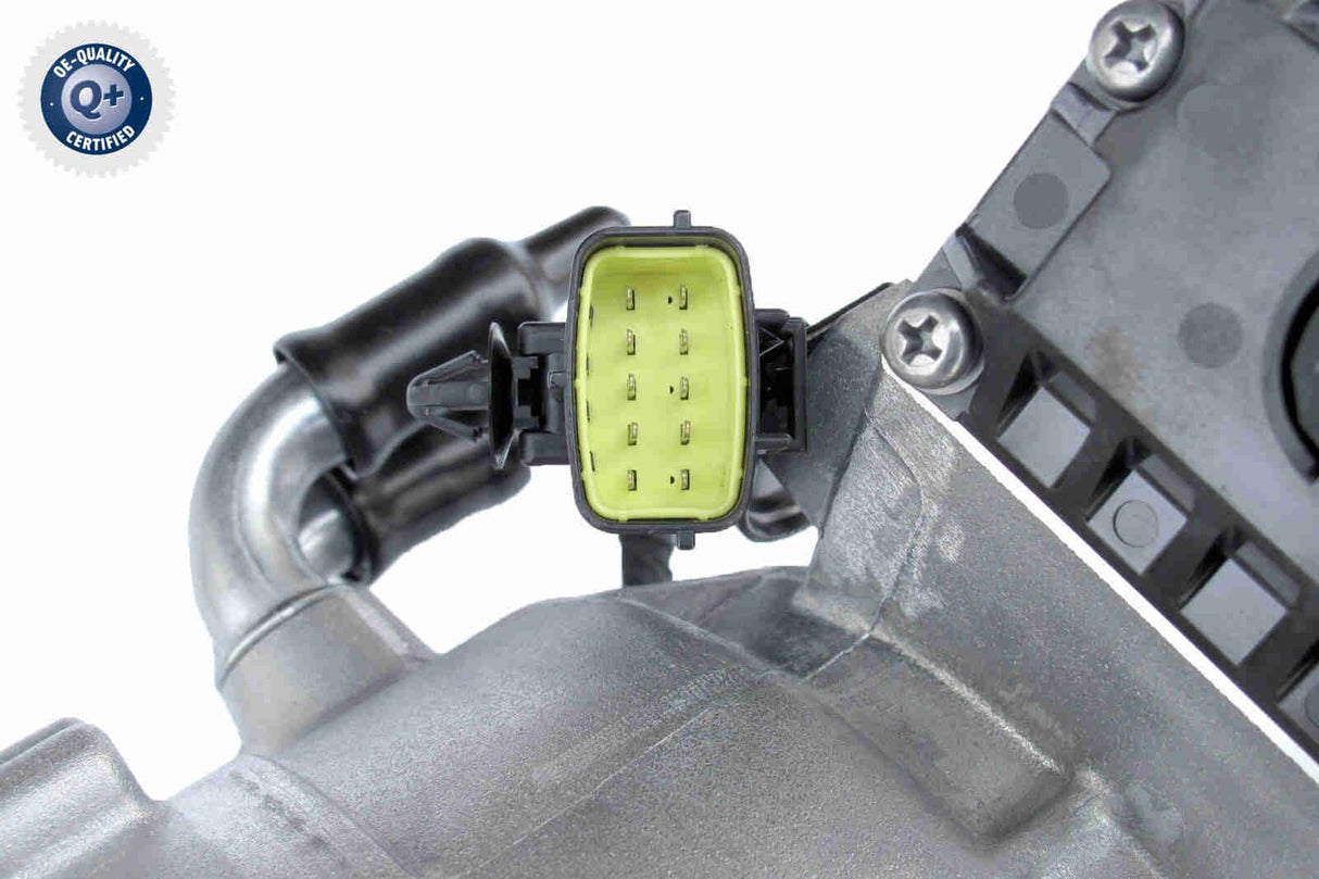 Starter Generator - V53-24-0001