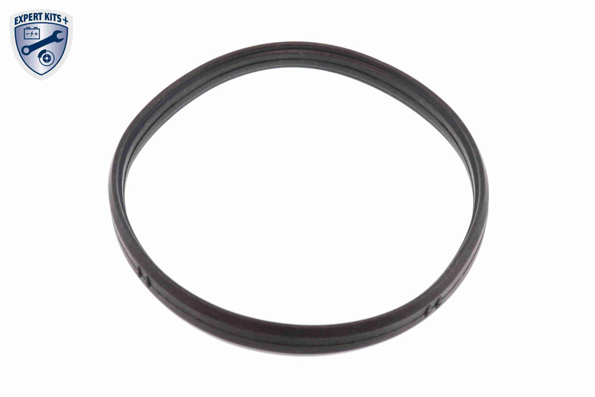 Thermostat Housing - V20-99-1279
