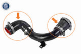Charge Air Hose - V25-2675