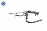 Radiator Hose - V48-0153
