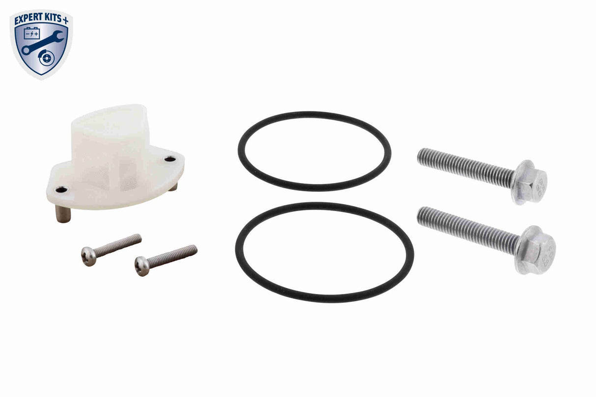 Parts Kit, multi-plate clutch oil change (all-wheel drive) - V95-0619-XXL