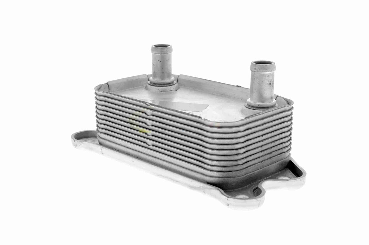 Oil Cooler, engine oil - V95-60-0012