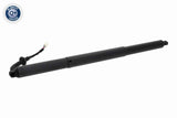 Electric Motor, tailgate - V10-55-0036