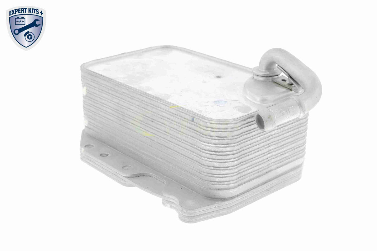 Oil Cooler, engine oil - V15-60-6075