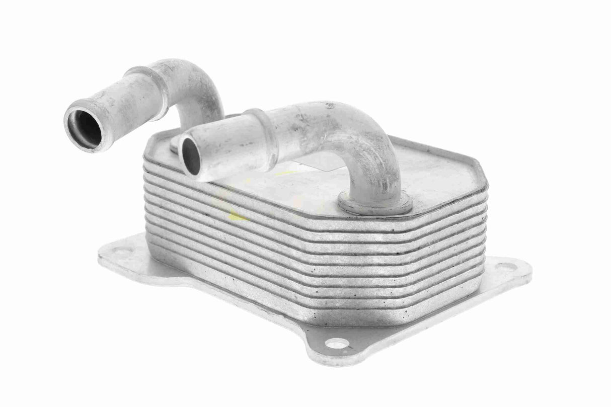 Oil Cooler, engine oil - V25-60-0041