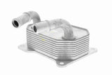 Oil Cooler, engine oil - V25-60-0041