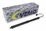 Electric Motor, tailgate - V48-55-0010