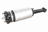 Air Suspension Strut - V48-50-0014