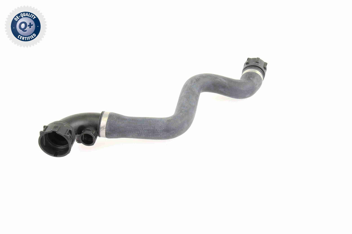 Radiator Hose - V20-0864