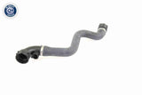 Radiator Hose - V20-0864