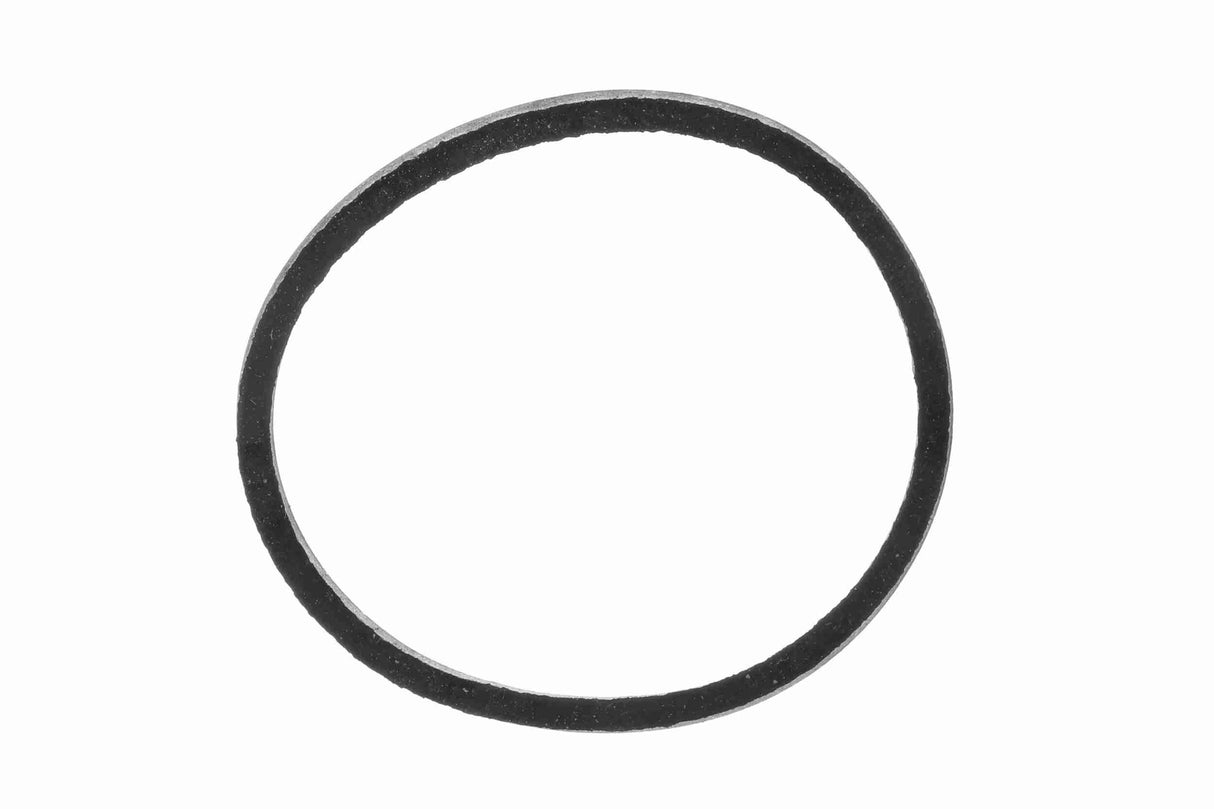 Seal, thermostat - V20-99-9001