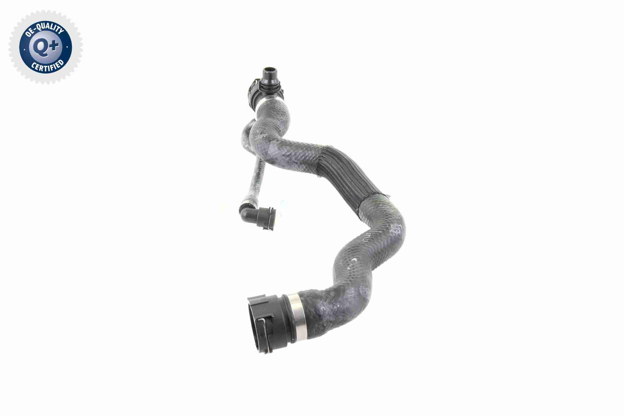 Radiator Hose - V20-1695