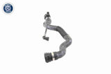 Radiator Hose - V20-1695
