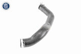Charge Air Hose - V25-1022