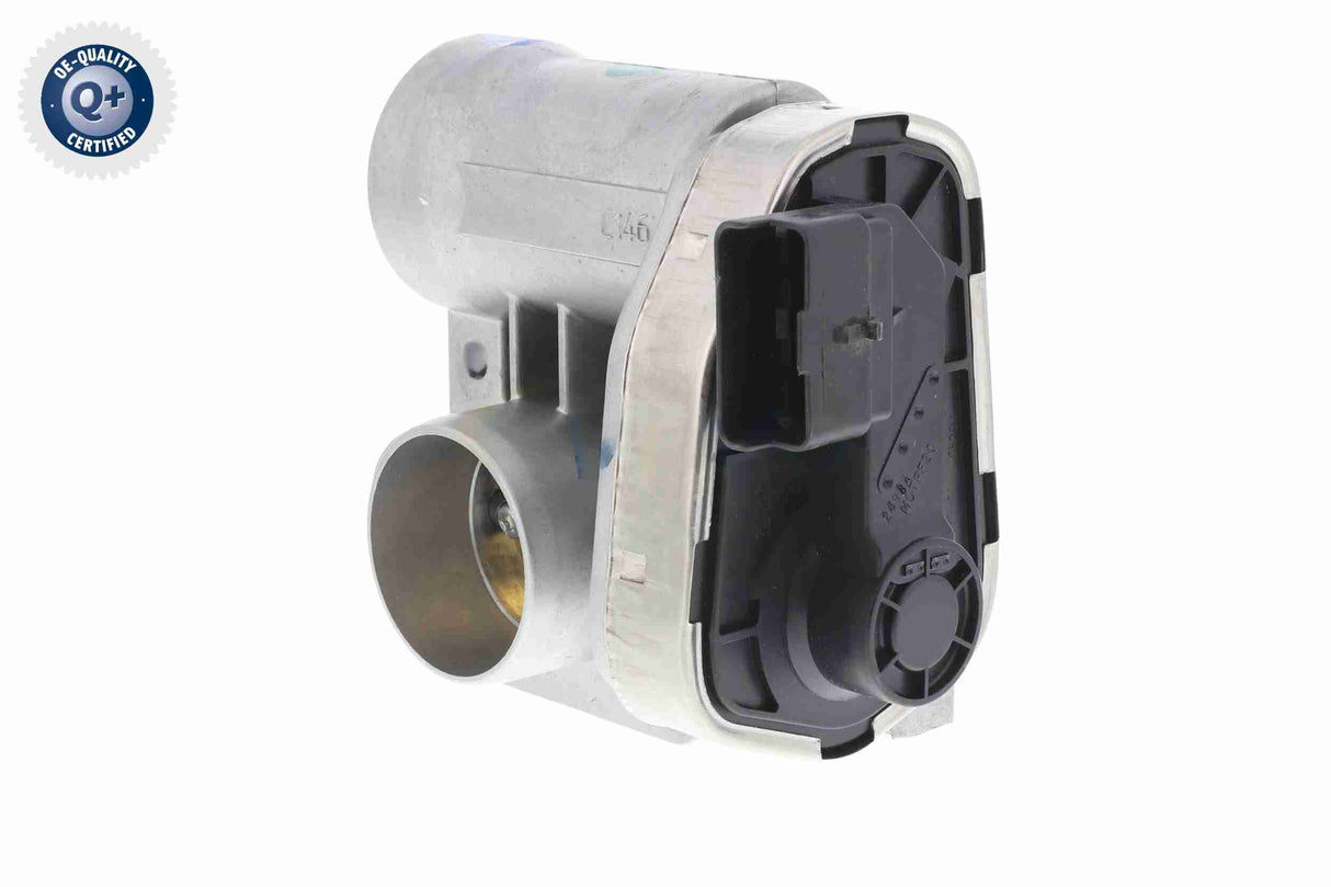 Throttle Body - V24-81-0011