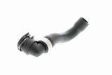 Radiator Hose - V20-1667