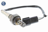Oxygen Sensor - V51-76-0008