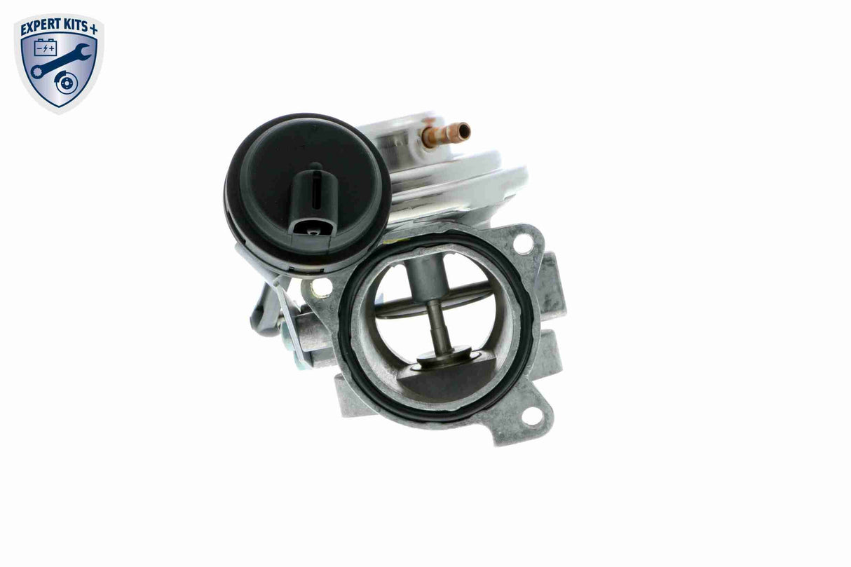 Valve, exhaust gas recirculation - V10-63-0030