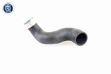 Charge Air Hose - V10-3825