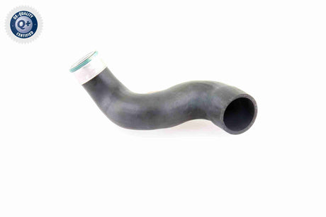 Charge Air Hose - V10-3825