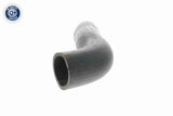 Charge Air Hose - V20-1624