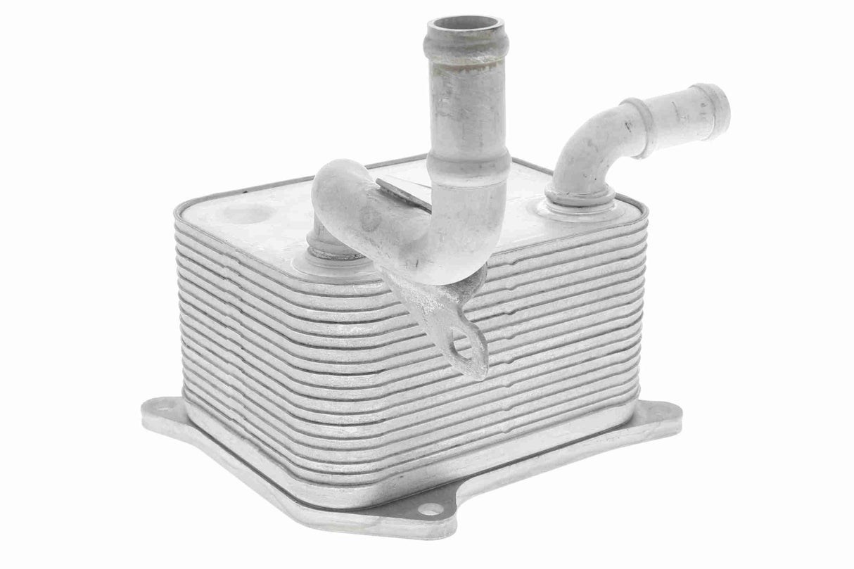 Oil Cooler, engine oil - V15-60-0013